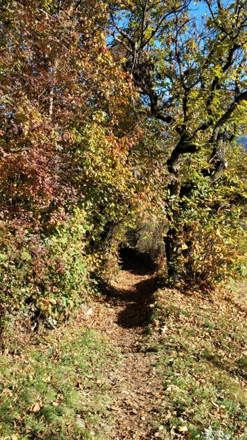 Finggeneislerhof Διαμέρισμα Villandro Εξωτερικό φωτογραφία